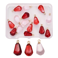 15шт 3 цвета подвески из смолы&nbsp;RESI-CJ0001-129