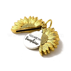 Подвески из сплава в тибетском стиле &nbsp;FIND-A038-05AG