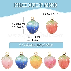 10 шт. 5-х цветные подвески из эпоксидной смолы ручной работы&nbsp;KY-YW0002-04