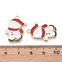 Подвески из сплава и эмали&nbsp;PALLOY-T092-54