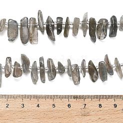 Природные лабрадорита бисер нитей&nbsp;G-Z124-C01-01