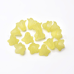 Прозрачные акриловые бусины&nbsp;X-PLF018-19