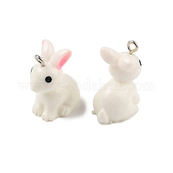 Подвески из смолы&nbsp;X-RESI-S356-53