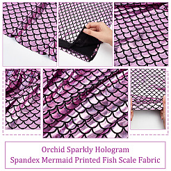 Блестящая голограмма спандекс русалка ткань с принтом рыбьей чешуи&nbsp;AJEW-WH0001-44