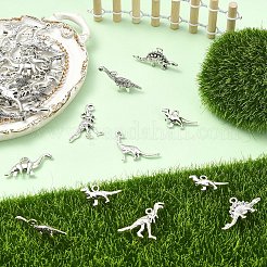 60шт 6 стиля подвески из сплава в тибетском стиле&nbsp;FIND-YW0011-71