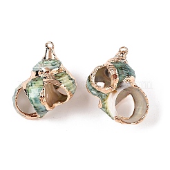 Подвески из натуральной морской раковины&nbsp;X-SSHEL-N038-55