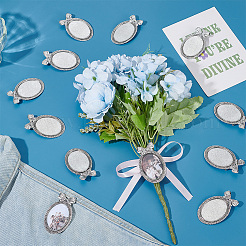 12шт брошь из сплава&nbsp;FIND-PH0027-62B