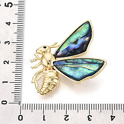 Булавки из раковины пауа&nbsp;JEWB-T005-10G