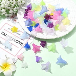 400шт 2 стиля прозрачные акриловые бусины&nbsp;FACR-YW0001-11