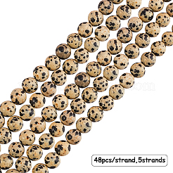 Естественно далматин яшмы камень шарик нити&nbsp;G-OC0001-54