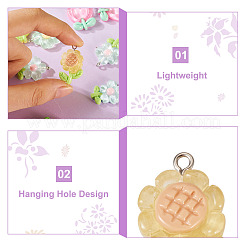 30шт 5 цвета прозрачные подвески из смолы&nbsp;RESI-TA0001-68