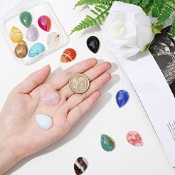 Кабошоны из камня&nbsp;G-SC0001-17