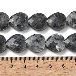 Натуральные нити бус из ларвикита&nbsp;G-A309-A18-01