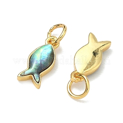 Амулеты в виде рыбок из натуральных раковин морского ушка&nbsp;KK-F926-04A