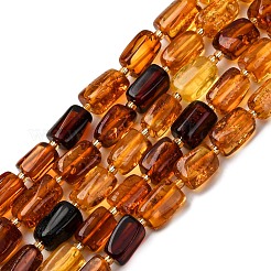 Нити бусин из натурального янтаря градиентного цвета&nbsp;G-F803-D01-04