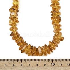 Ожерелья из бисера с натуральной янтарной крошкой&nbsp;NJEW-L466-03B