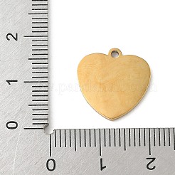 Подвески из нержавеющей стали 304 с эмалью&nbsp;STAS-I351-21G-03