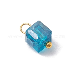 21 шт. Стеклянные подвески&nbsp;PALLOY-JF03218