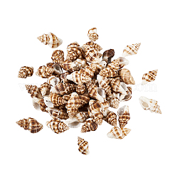 Спиральные подвески оболочки&nbsp;SSHEL-TA0001-02