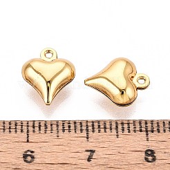 Подвески из нержавеющей стали 304&nbsp;STAS-N118-12G