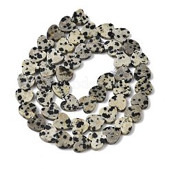 Природные яшмы далматин бисер нитей&nbsp;X-G-M403-A31-03