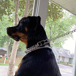 4 шт. Двойные поворотные застежки из сплава&nbsp;FIND-GO0001-81P