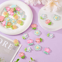 30шт 5 цвета прозрачные подвески из смолы&nbsp;RESI-TA0001-68