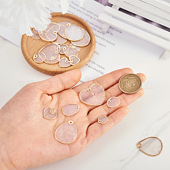 24 шт. 6 стильные подвески из натуральной оболочки capiz&nbsp;SSHEL-TA0001-06