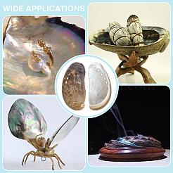 500г натуральной оболочки&nbsp;SSHEL-PH0001-37