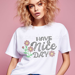 Стекла исправление горный хрусталь DIY-WH0303-377