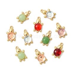 60шт 6 цвета подвески из акрилового сплава&nbsp;FIND-CJ0003-81