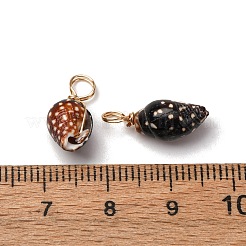 Спиральные подвески оболочки&nbsp;PALLOY-JF02492-02