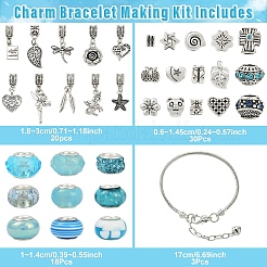 Наборы для самостоятельного изготовления браслетов в европейском стиле. В том числе европейские бусины из сплава и смолы.&nbsp;DIY-YW0012-11A