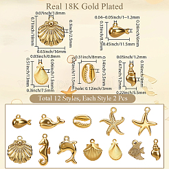 24 шт. 12 стиля подвески из нержавеющей стали 304 с тематикой океана&nbsp;STAS-SC0010-47