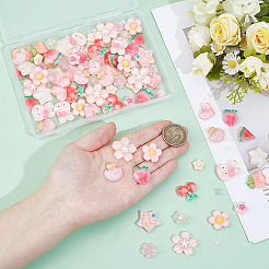 Кабошоны из прозрачной смолы&nbsp;RESI-PH0002-65