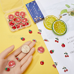 50шт 5 стиля подвески из сплава с эмалью&nbsp;ENAM-SC0005-65