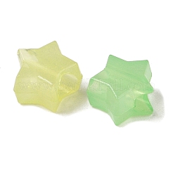 Светящиеся акриловые бусины&nbsp;OACR-H119-04