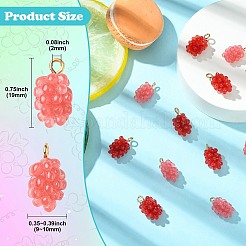 12шт 2 цвета подвески из смолы&nbsp;RESI-CJ0004-71