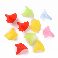 Прозрачные акриловые бусины&nbsp;BSF796M