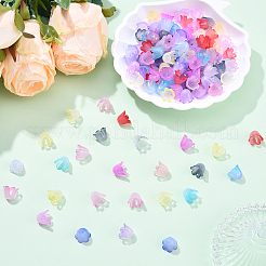 160шт 8 цвета акриловые колпачки для бусин&nbsp;SACR-YW0001-78