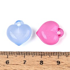 Прозрачные акриловые подвески&nbsp;TACR-T028-80M