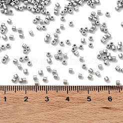 Выпечка краска стеклянные бусины&nbsp;SEED-S042-15B-33