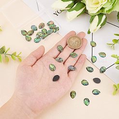 30 шт. кабошоны из ракушки пауа&nbsp;SSHEL-FH0001-17