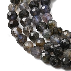 Природные иолит нитей бисера&nbsp;G-G343-B01-3mm