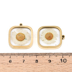 Подвески из нержавеющей стали 304 из эпоксидной смолы&nbsp;STAS-T072-35