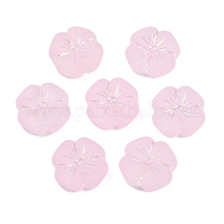 Матовые прозрачные акриловые бусины&nbsp;OACR-P029-19B-05