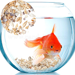 150 г 5 вида натуральных смешанных ракушечных бусин&nbsp;SSHEL-SC0001-51