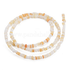 Нити бусин из натуральных пресноводных ракушек&nbsp;SHEL-S278-066C