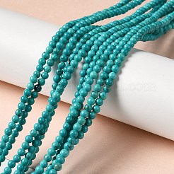 Природные Говлит бисер нитей&nbsp;G-C025-15B