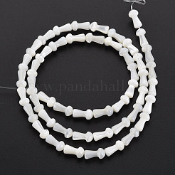 Нити бусин из натуральных трохоидных/трохус ракушек&nbsp;SSHEL-T014-44